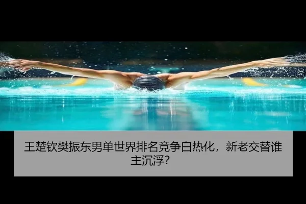王楚钦樊振东男单世界排名竞争白热化，新老交替谁主沉浮？
