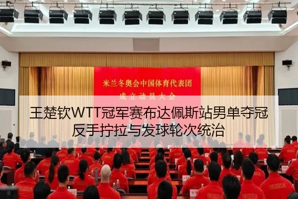 王楚钦WTT冠军赛布达佩斯站男单夺冠反手拧拉与发球轮次统治
